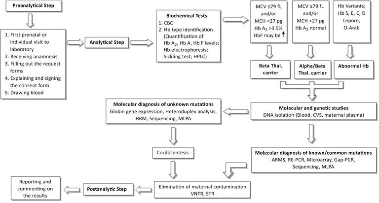 Prenatal Testing for Thalassaemia