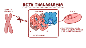 beta thallasemia