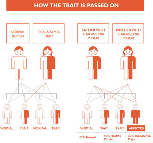 thallasemic trait test img